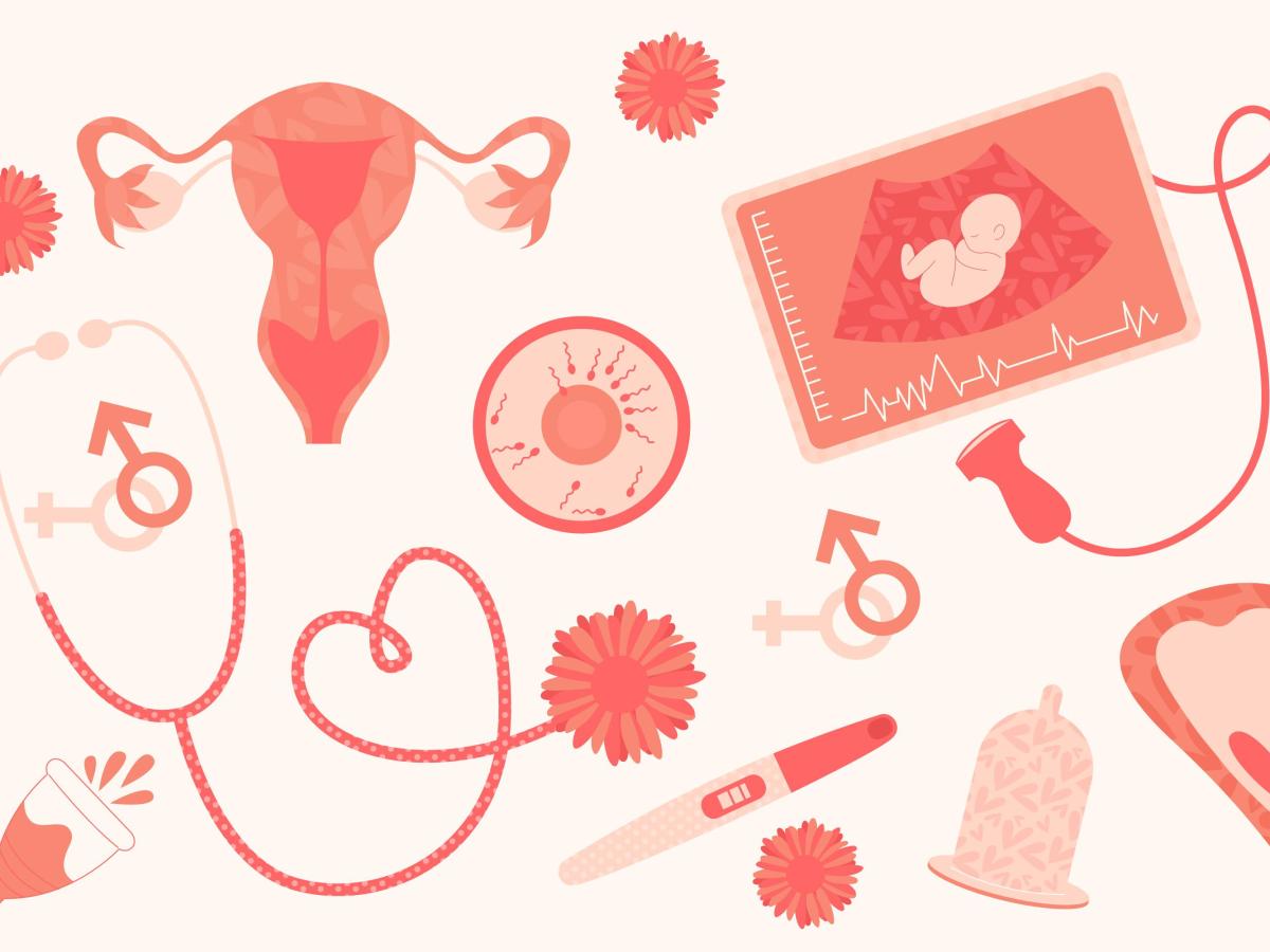 How Evolution and Menstrual Cycle Influence Your Love&nbsp;Life